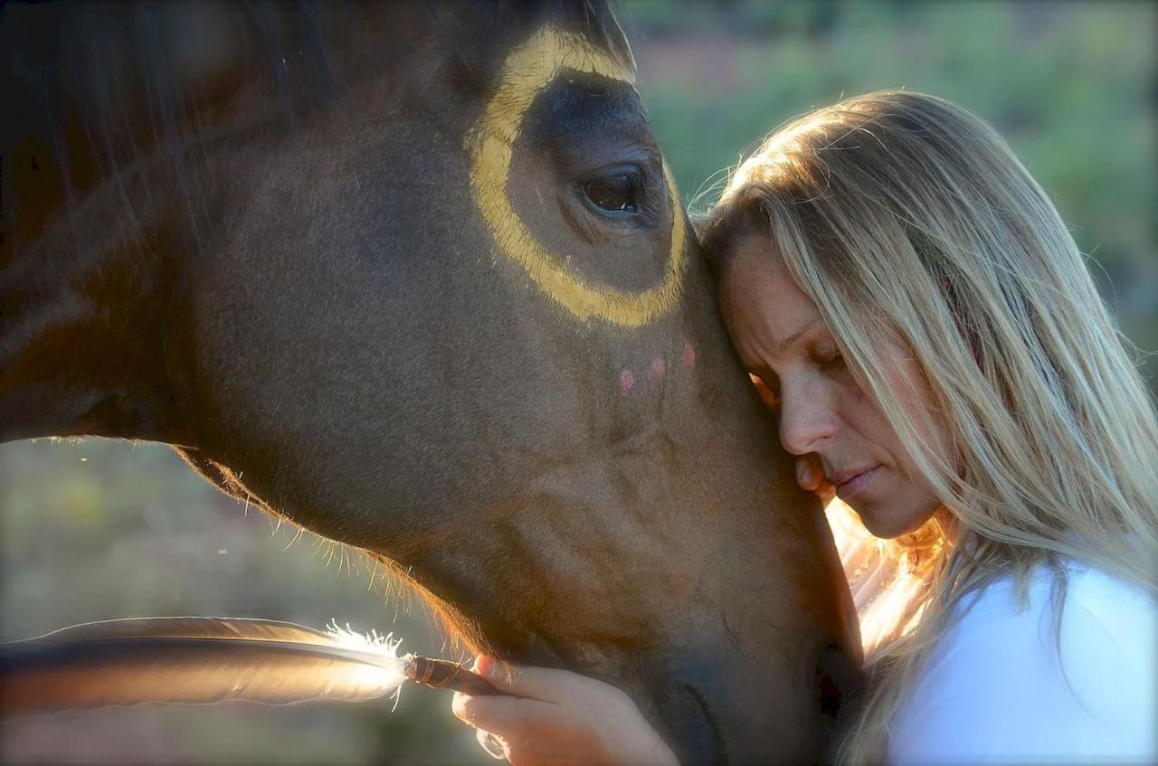 The Mountain Lion - Horses Sedona'S Most Loved Exterior foto